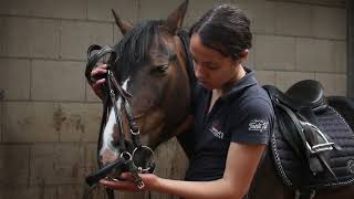 Opzadelen en verzorgen - Manege Zilfia's Hoeve - instructievideo