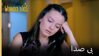 من هرگز به تو خیانت نکردم | نمیره قسمت 149 | پرندگان زخمی