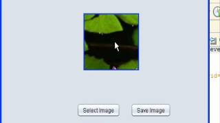 Image Resizing & Compression In Java Part 4