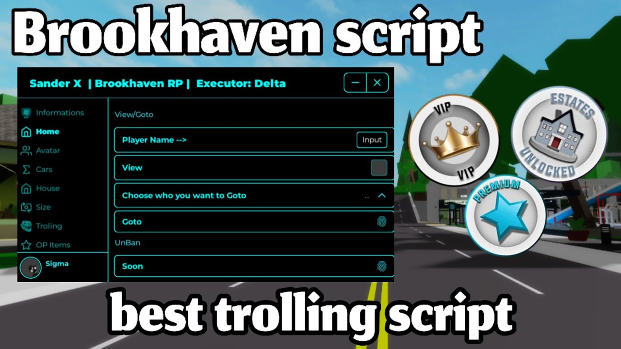 New Brookhaven Trolling Script Sander X New Update | Best Brookhaven ...