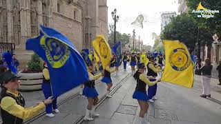 Pasacalles de Bandas en MARCO Sevilla 2024