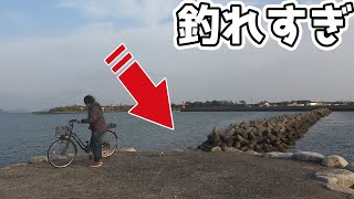 【離島生活】ココに投げたら警戒心の強いアノ魚がまさかの爆釣！！！