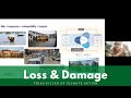 Dr Swenja Surminski: The Role of Insurance in the Fight Against Climate Change