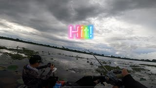 Day 1 Toman Topwater Game [Topwater Explosion + Catch & Release]