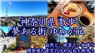 ( 4K ) 神奈川県 散歩 快晴の横浜市 ゆめが丘を歩く ~ 夢のある街にて、自然豊かな風景と珈琲を楽しむ ~