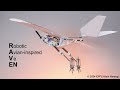 bird inspired drone that can walk hop leap and jump into flight nature 2024