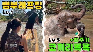 [eng]치앙마이🇹🇭ep.4 목욕시켜 주는데 똥 싸지 말라고..￼🐘💩  | 치앙마이코끼리보호소 • ￼￼치앙마이￼코끼리투어 • 뱀부래프마