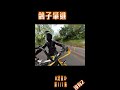 北宜公路 鴿子肇事逃逸 shorts