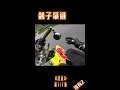 北宜公路 鴿子肇事逃逸 shorts