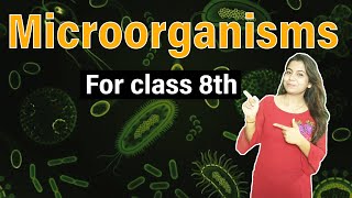 Microorganisms Friend and Foe | Easy Visual Learning for NCERT and CBSE class 8 Science of life