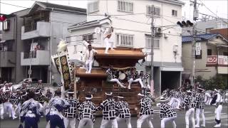 平成26年 八田荘だんじり祭り 宵宮午後曳行(家原寺町・平岡町・毛穴町) 2014/10/04(土)