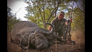 Cape Buffalo hunting in Zambia's Luangwa Valley \