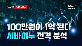 100만원이 1억 된다! 시바이누 전격 분석