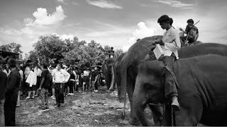 ฟ้าเป็นใจ🤍ฝนหยุด🖤ร้องเพลงส่งนางฟ้าฟิล์ม🖤ช้าง8เชือก🐘