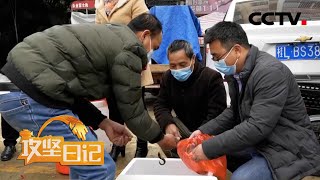 泥鳅上市遇难题 壮布销售迎商机 | CCTV「攻坚日记-大山外面有新家」20210322