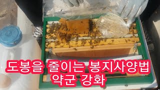 양봉창업TV 초보 양봉 창업하기 - 도봉줄이는 봉지사양법 춘천, 화천 모두 풍밀하고 대박나세요 beekeeper  养蜂(feat. 누구나양봉)