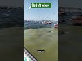 त्रिवेणी संगम प्रयागराज 🚩 triveni sangam 🙏 ytshorts trivenisangam mahakumbh2025 trending viral