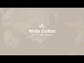 white guitars fender american vintage ii 1961 stratocaster olympic white