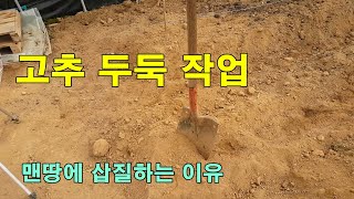 고추두둑만들기