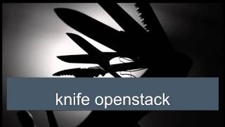 Chef for OpenStack Deployment Workshop