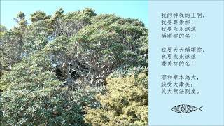 大光「新舊約聖經」詩篇全輯⑧――詩篇145篇