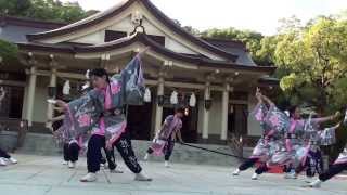 守口熱渡宝夢@KOBE ALIVE  湊川神社