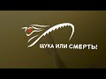 Щука в августе рыбалка с лодки с сыном. Ловили щуку на воблеры джерк джиг тролинг и лягушки