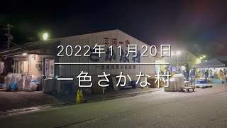 【脅威の朝市】カワハギ争奪戦勃発⁉︎『一色さかな村』最速完売の極意