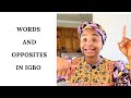 Words and opposites in igbo for beginners