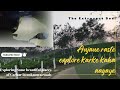 Anjaane raste explore karke kaha aagaye || Silchar vlogs || The Extrovert Soul