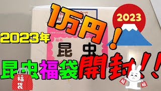 【昆虫福袋2023】1万円の福袋開封！！