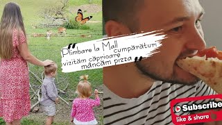 Plimbare în mall.,cumpãrãturi .,vizitãm cãprioare si mâncãm pizza |Vlog 2