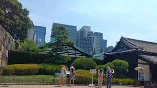 The Imperial Palace Eastern Gardens | Tokyo | Japan