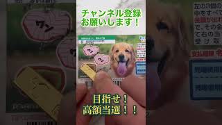 【宝くじ】毎日スクラッチチャレンジ 〜大当たりへの道〜 199日目