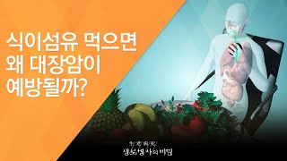 식이섬유 먹으면 왜 대장암이 예방될까? - (2016.3.9_574회 방송)_공사창립기획 한국인의 암지도 2편, 소화기암 서구형으로 변했다