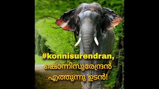 കോന്നിയിലെ കുട്ടി കൊമ്പന്മാർ #konnisurendran,#elaphant,കാടിന്റെതലപ്പൊക്കത്തിനൊപ്പം ഇത്തിരിനേരം#aana