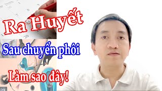 #328. Ra huyết sau chuyển phôi, sau vừa trễ kinh. Làm sao đây! | Hỏi Bác Sỹ Sinh Sản