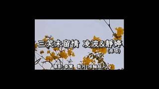 #三笑未留情 (原唱) #凌波 #靜婷 #回憶殺 #歌詞 #花蓮 【完整歌曲請點擊上方▶︎影片連結進入觀賞】