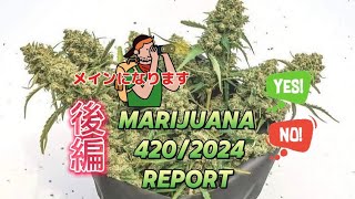 VANCOUVER 🇨🇦CANADA🇨🇦420ガンジャ祭！！ CELEBRATION of MARIJUANA！！カナダで一番の大麻祭！！４時２０分のカウントダウンタウン！！とんでもないことになる❗🦖