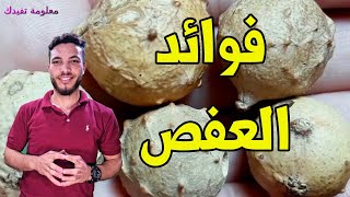 فوائد العفص السحرية والامراض التى يقى منها العفص استخدامات لا تحصى ؟؟