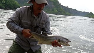 Spinner and spinning tips while trout fishing from shore