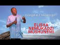 Evangelist T Muparinga - Elisha Nemukadzi muShunemi