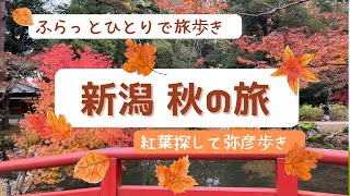 新潟 秋の旅 紅葉探して弥彦歩き