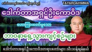 ဘာဝနာရှေ့သွားကျင့်စဉ်များ တရားတော် - ဒေါက်တာအရှင်ဦးကောဝိဒ