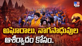 Mahakumbh Mela 2025 : అఘోరాలు, నాగసాధువుల ఆశీర్వాదం కోసం..  - TV9