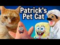 Patrick's Adventures: S3, E3: Patrick's Pet Cat