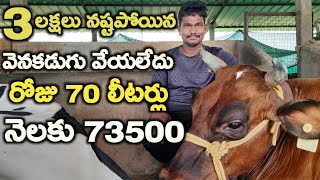 3 లక్షలు నష్టపోయిన వెనకడుగు  వేయలేదు|srikanth dairy farm in telugu|kesham pet|mallesh adla|