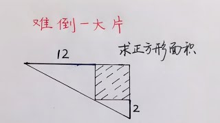 小学数学平面几何，求三角形里的阴影面积