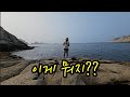 낚시로 이런 게 잡혀??