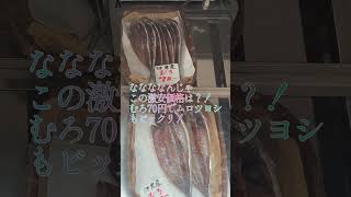 ビックリするほど安い伊東の干物屋「マルキ干魚店( ﾟДﾟ)むろ70円でムロツヨシもビックリ！」